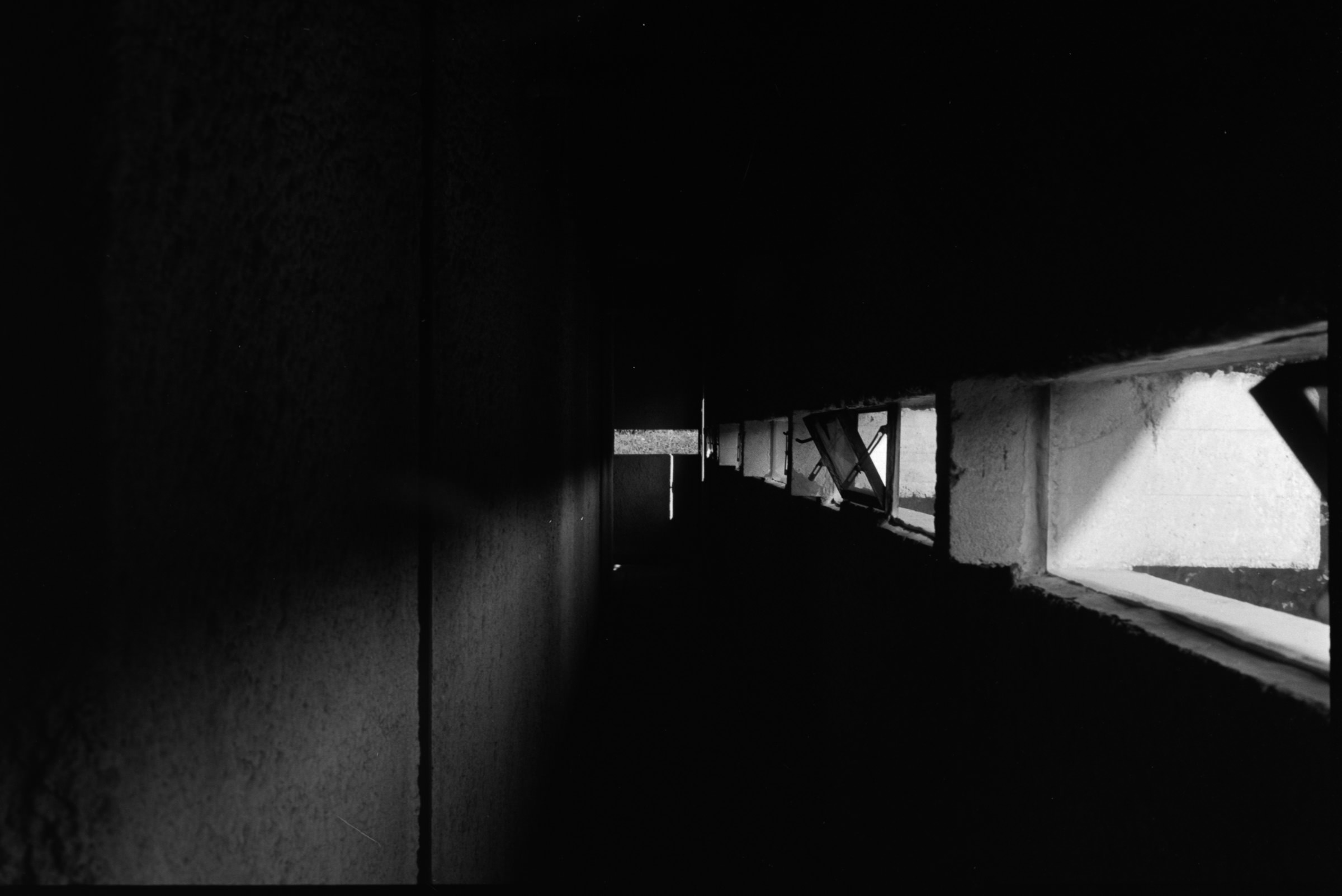 AHP F1993 08 002 sc240823 img37 NLP